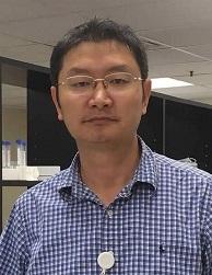 Hong Liu, PhD