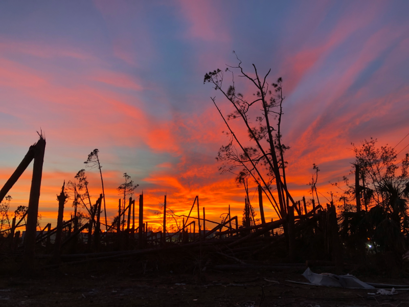 This is a picture of a sunset behind broken trees