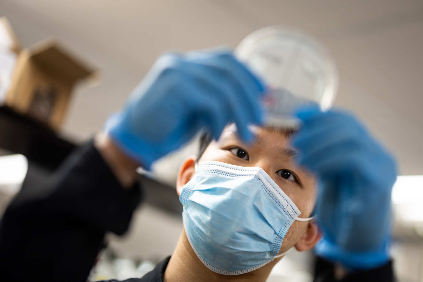 a researcher holds up a petri dish