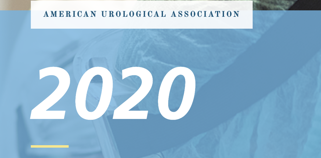 American Urological Association 2020