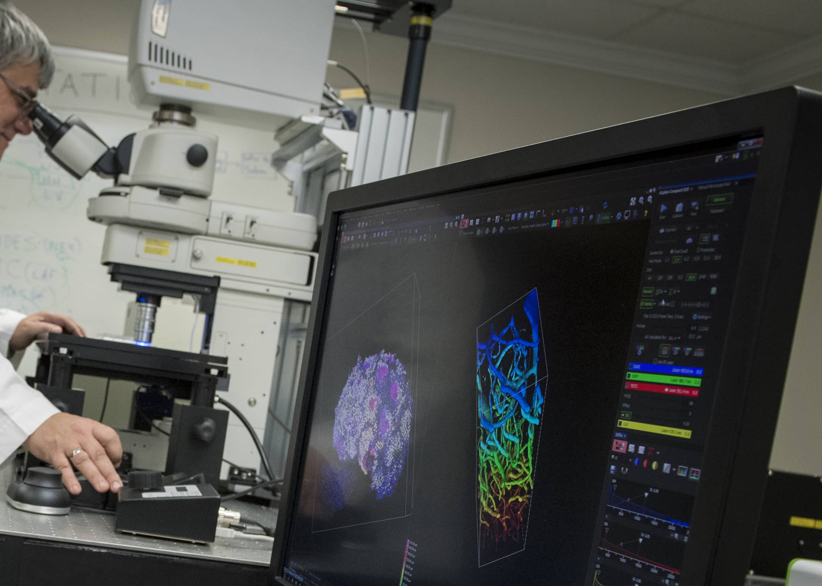William Wimley looks into a microscope and shows peptides on a computer screen