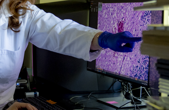 a person wearing lab gloves points to a zoomed in picture of a cell