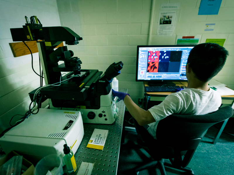 A person looks at a computer screen while using scientific equipment.