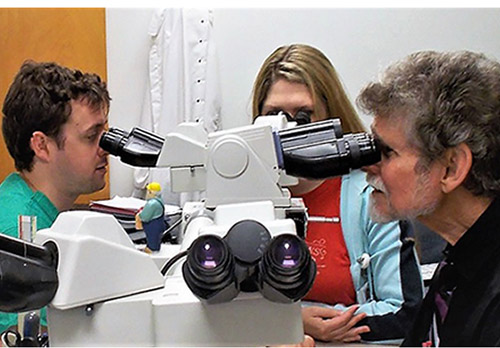 Dr. Daroca at Microscope