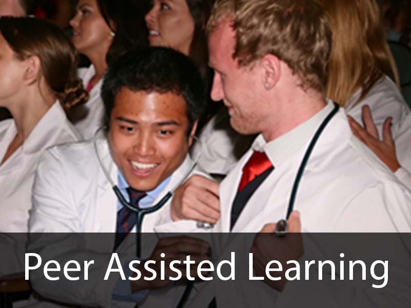 Peer Assisted Learning