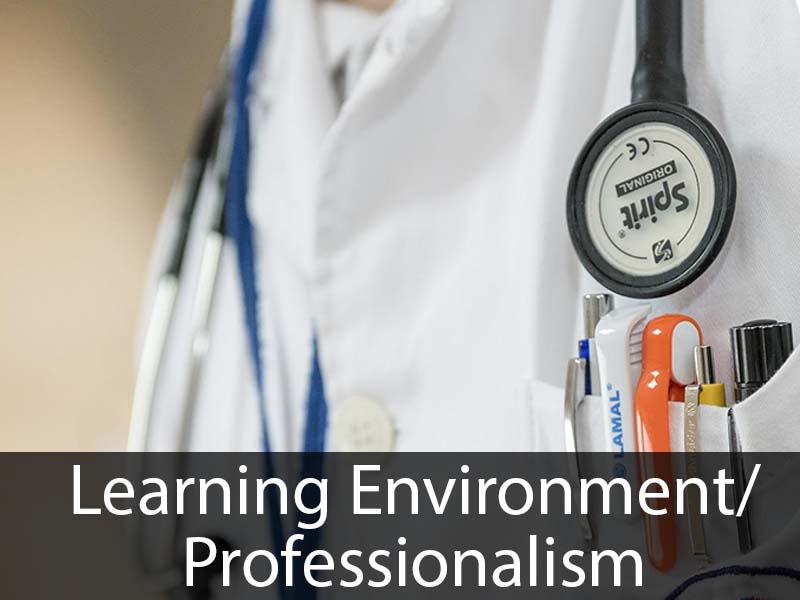 Learning Environment and Professionalism Program