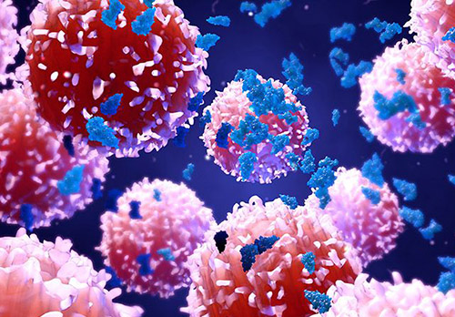 groups of cells