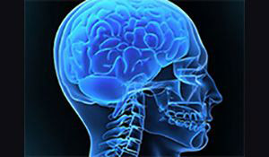 neurosciences blue brain illustration