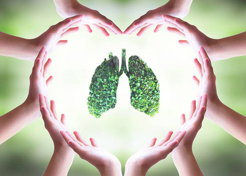 green lungs surrounded by hands in a heart shape