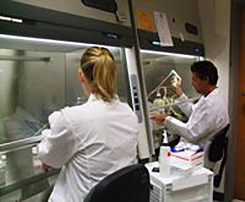 male & female in lab