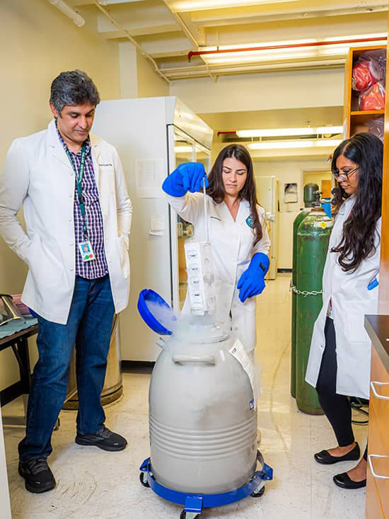 three students pulling out contents of a dry ice container in Mauvais-Jarvis lab