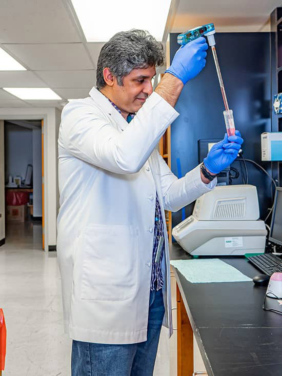 male student working with long pipette in Mauvais-Jarvis lab