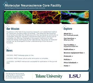 Molecular Neuroscience Core Facility website