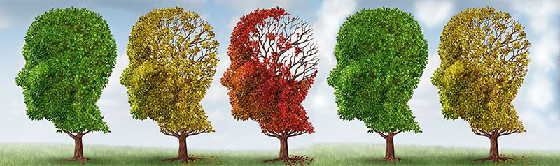 illustration of 5 trees shaped like heads