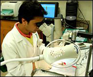 worker in endocrinology lab
