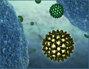 hepatitis B virus illustration