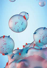 illustration of bubbles