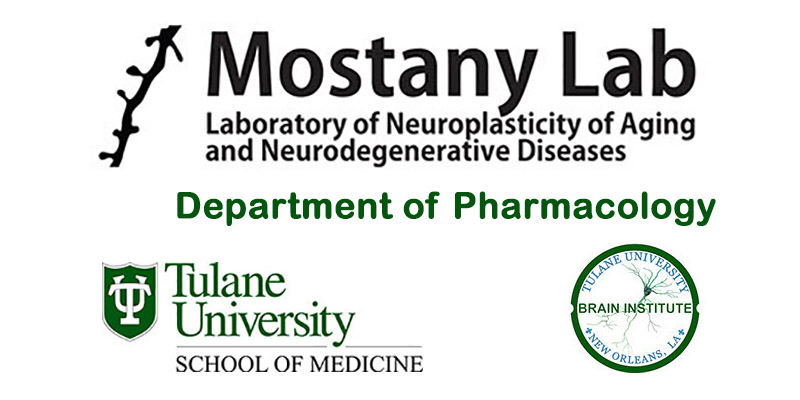 Mostany Lab Home banner with SOM logo & Brain Institute logo
