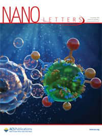 Nano Letters Cover picture