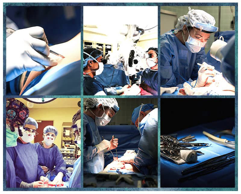collage of plastic surgery docs in action