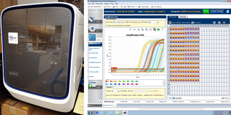 QuantStudio 6 Real Time PCR Machine 