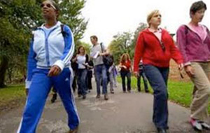 group of people walking for exercise
