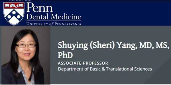 Shuying Yang, MD, PhD