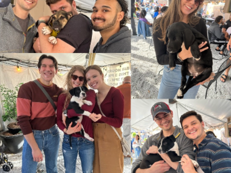 This is a collage of photos showing people holding puppies