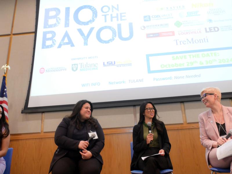 This is an image of four presenters on a panel