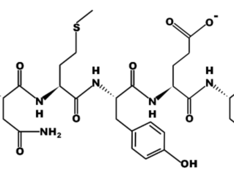 peptide image generated from pepdraw