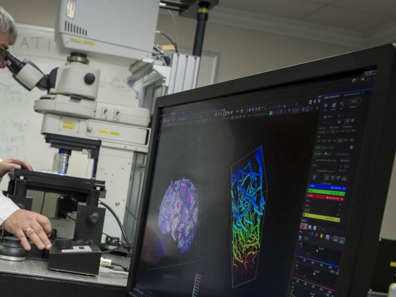William Wimley looks into a microscope and shows peptides on a computer screen