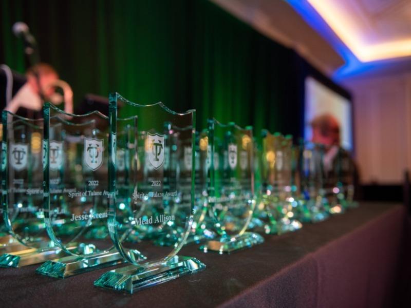 This image shows awards sitting on a table