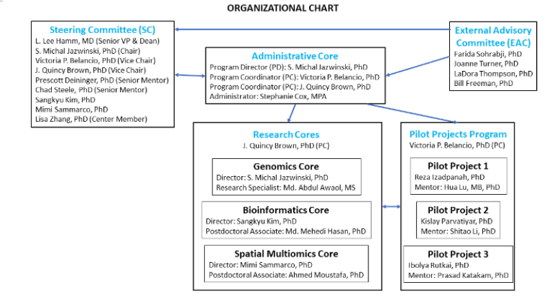Figure 3. Organizational chart of the COBRE in Aging and Regenerative Medicine. 