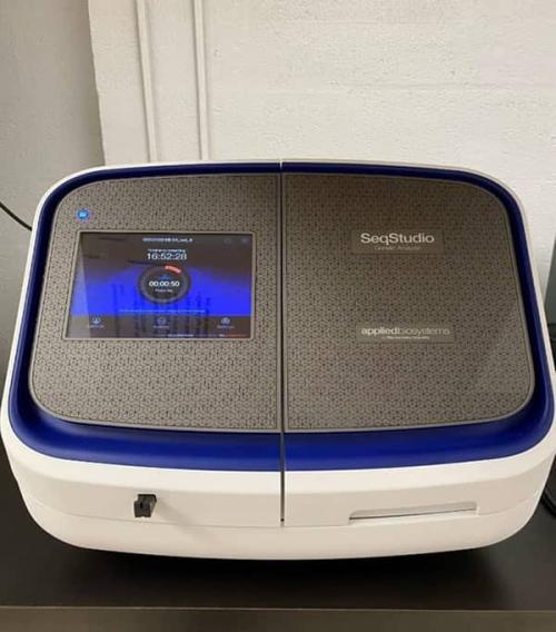 Sanger Sequencing