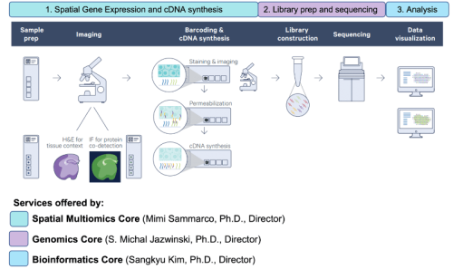 Spatial Multiomics Transcriptomics