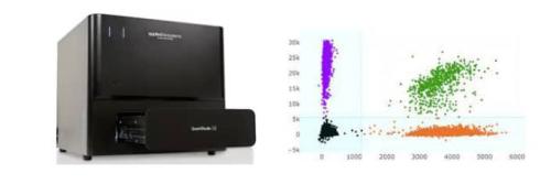 QuantStudio Absolute Q Digital PCR System