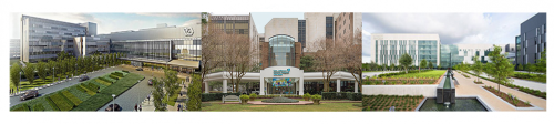 Tulane's active hospitals