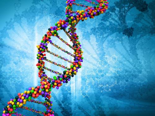 DNA_Hayward