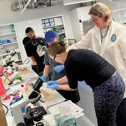Students learning from professor