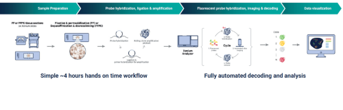xenium workflow 2