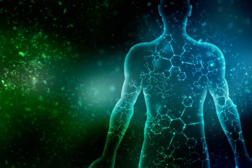 Physiology main photo This is a green and blue graphic of a human