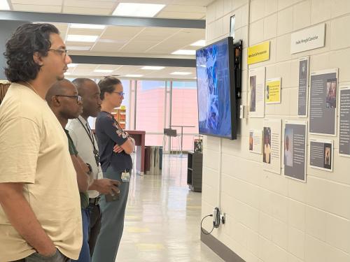 FIP exhibit