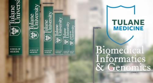 BIMI school of medicine flags BIMI school of medicine flags