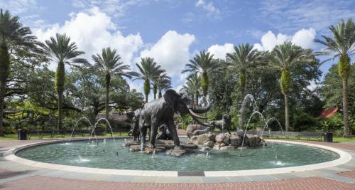 Audubon Zoo