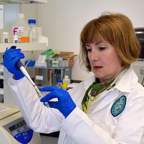 prostate cancer research