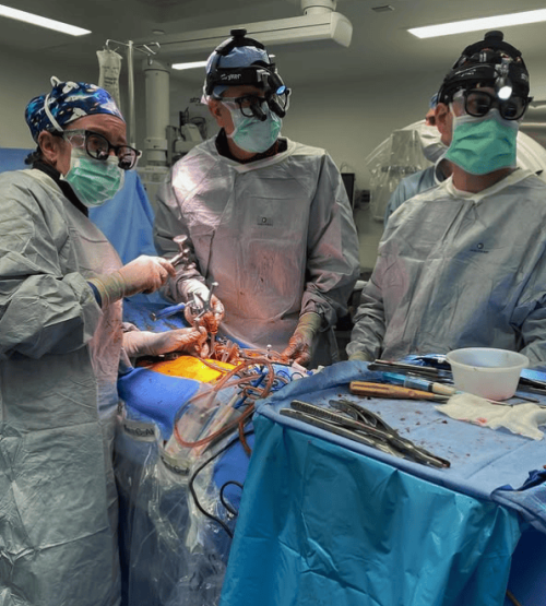 neurosurgery - 6