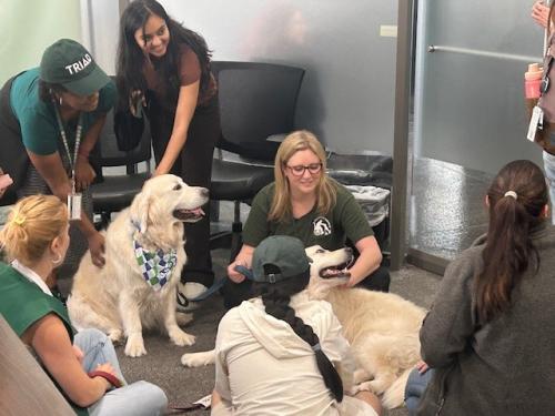 Visiting Pet Program
