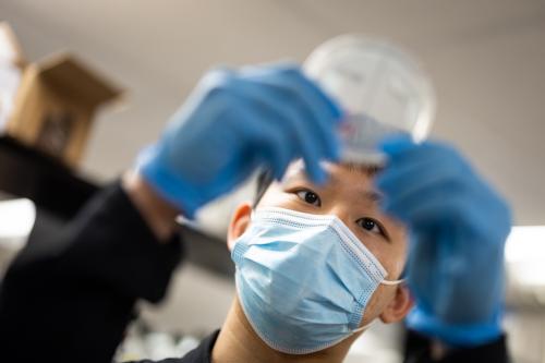 a researcher holds up a petri dish