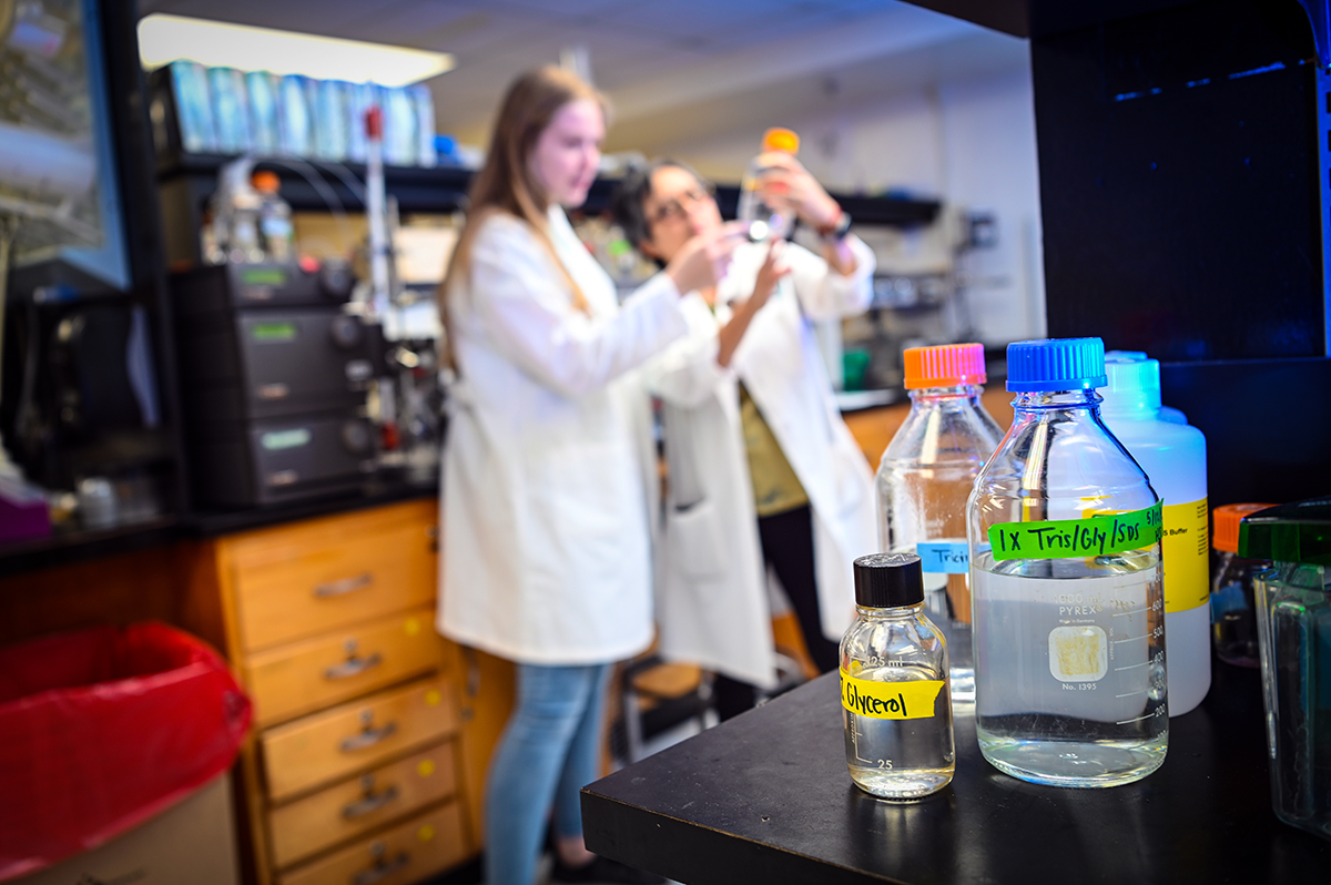 Two researchers hold up a bottle of chemicals to analyze 