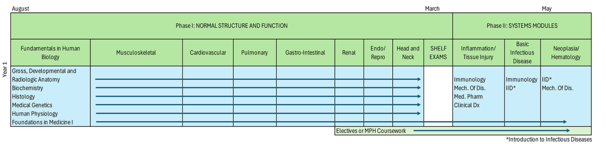 the MD curriculum for year 1